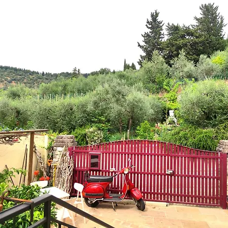 Il Gigaro
